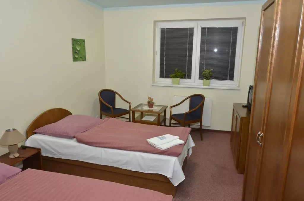 Photo 4 of Hotel Zimní stadion